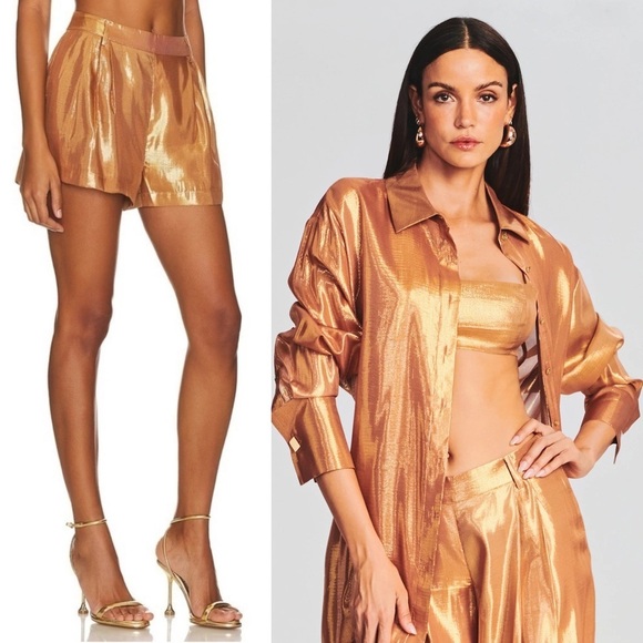 NWT RETROFETE Set Silk Metallic Chiffon High Waist Pleated Short & Bra Top XL - Picture 2 of 16